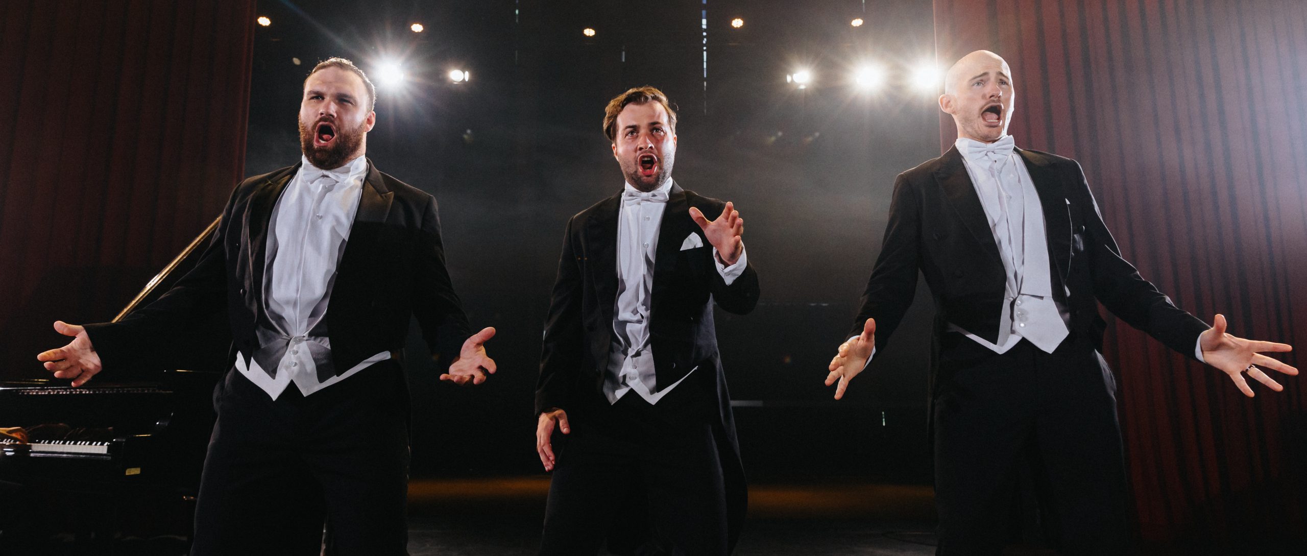 Diamond-Baritones-boeken-bij-Artist-Bookings-1