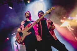 First-Class-Flamingos-Boeken-Bij-Artist-Bookings-1